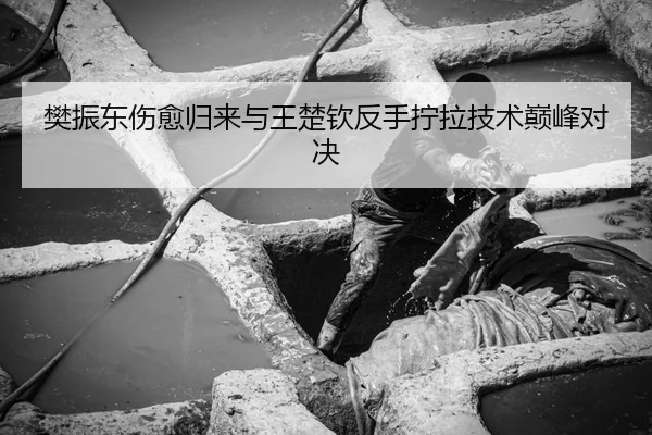 樊振东伤愈归来与王楚钦反手拧拉技术巅峰对决