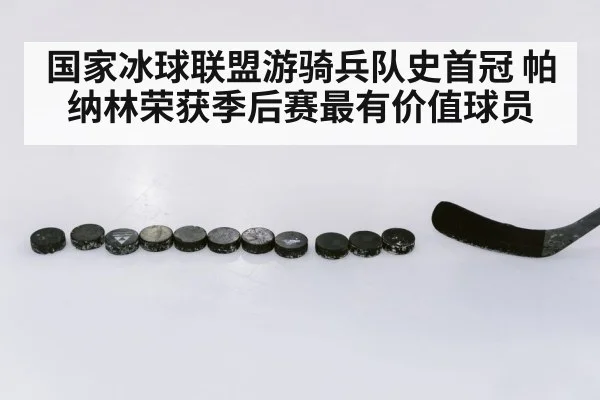 国家冰球联盟游骑兵队史首冠 帕纳林荣获季后赛最有价值球员