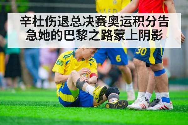 辛杜伤退总决赛奥运积分告急她的巴黎之路蒙上阴影